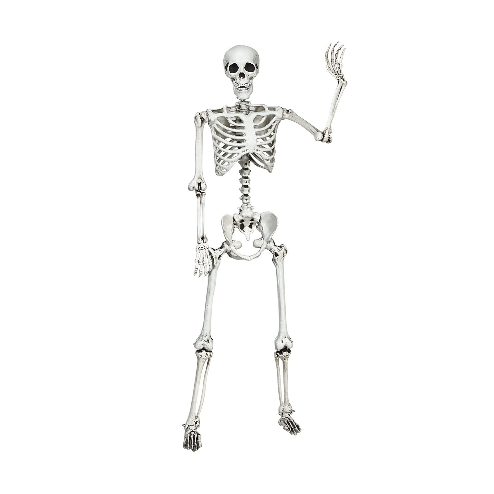 Halloween Life Size Full Body Skeleton Festival Skeleton Prop Decoration Halloween Life Size Full Body Skeleton Festival Skeleton Prop Decoration