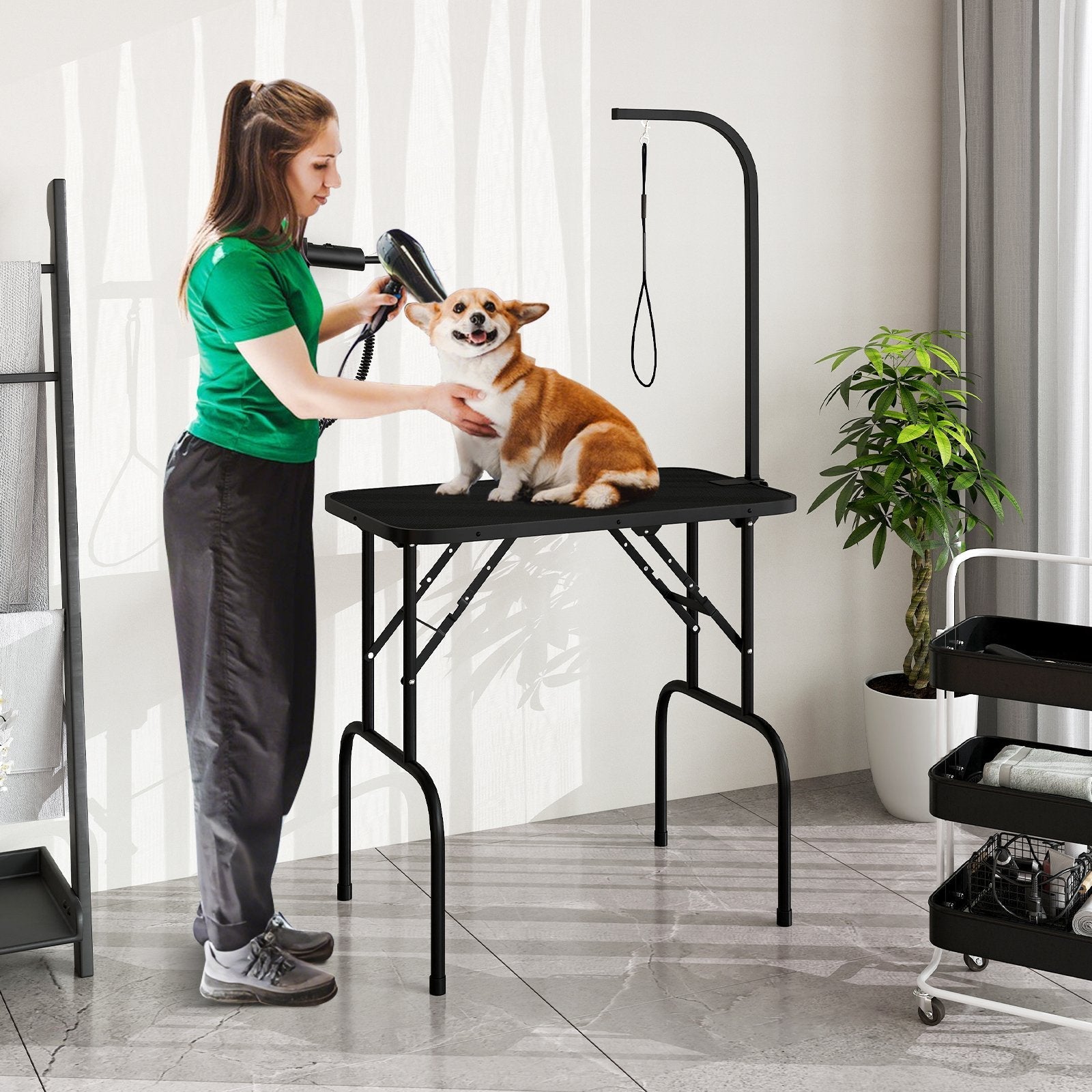 Foldable Dog Grooming Table with Height Adjustable Arms and Noose-