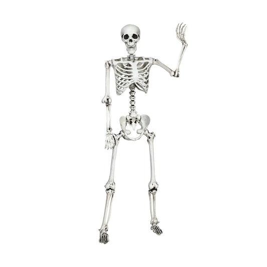 Halloween Life Size Full Body Skeleton Festival Skeleton Prop Decoration